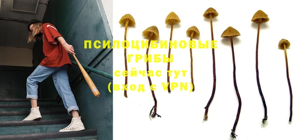 экстази Заволжск