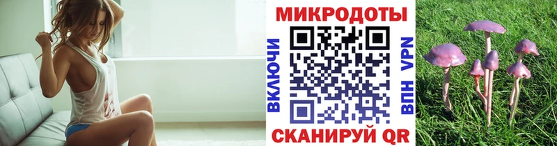 Купить закладки  Зубцов  Галлюциногенные грибы прущие грибы 